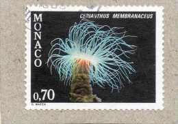 MONACO : Faune De La Méditerranée : Cerianthus Membranaceus (Grand Cérianthe) - Anémones De Mer - Cnidaires Anthozoaires - Gebraucht