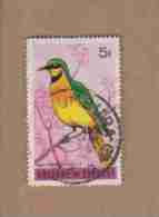 BURUNDI.  (Y & T)  1965.    N° 130  *  Oiseaux *  5f *  Oblit. - Usados