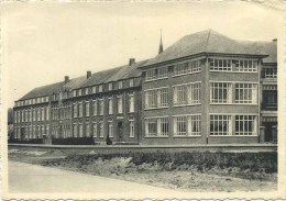 Wijgmaal ;  Instituut St-Elisabeth   :  Vooraanzicht   ( Groot Formaat ) - Andere & Zonder Classificatie