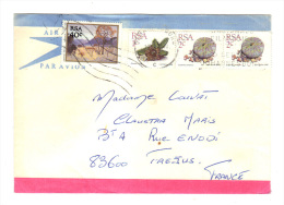 Afrique Du Sud: Par Avion, Air Mail (13-3877) - Covers & Documents