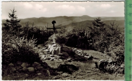 Bad Lauterberg, Odertalsperre, Blick Vom Großen Jagdkopf  Um 1950/1960, Verlag: Schindler & Co., Ostereode,  POSTKARTE, - Bad Lauterberg