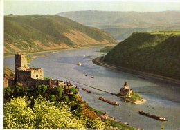 DER RHEIN - Bei Kaub - Burg Gutenfels Und Die Pfalz - Kaub