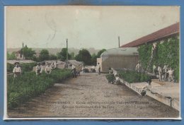 78 - MONTESSON --  Ecole Départemente Théophile ROUSSEL --  Elève Jardiniers Aux Serres - Montesson