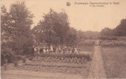 Heide, Diesterweg, Openluchtschool, In De Moestuin - Kalmthout