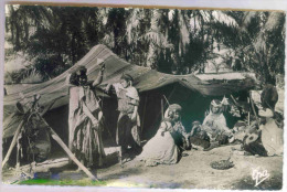 ALGERIE - SCENES ET TYPES - Campement De Nomades - Escenas & Tipos