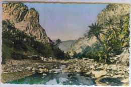 ALGERIE - SCENES ET TYPES - L'Oued Et Les Gorges - Colorisée - Scene & Tipi