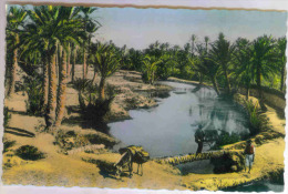 ALGERIE - SCENES ET TYPES - Pont Sur Un Oued - Palmiers Dattiers - Colorisée - Szenen