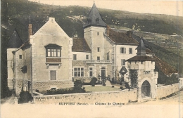 73 RUFFIEU - Château De Chessine - Ruffieux