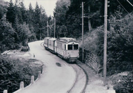 Chemin De Fer Loèche-Les-Bains, Train Près Russengraben,  Photo BVA, LLB 1.8 - Loèche