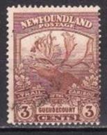 245 - Terre Neuve 1919 - Yv.no.102 Oblitere - 1857-1861