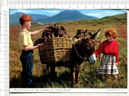 IRELAND -   GALWAY -  Collecting Turf From The Bog - Connemara  -   ENFANTS  Et  ANE Chargé 2/26 - Galway