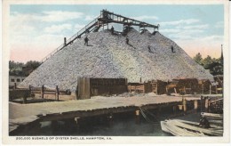 Hampton VA Virginia, Oyster Industry, Piles Of Shells Oyster Processing, C1910s Vintage Postcard - Hampton