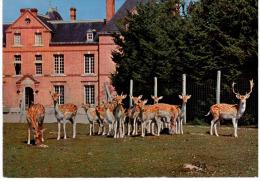 Chaumont Sur Tharonne - Parc Zoologique De Montevran-daims Isabelle - Contres