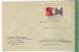 Gössnitz, Brief Gel. Sogenannter Chinese, MiNr. 662 EF, Gestempelt, Gössnitz Kr. Schmölln 11.12.58, MiW. 80,00 € - Goessnitz