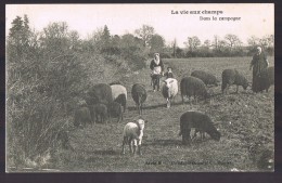 Moutons Dans La Campagne . - Other & Unclassified