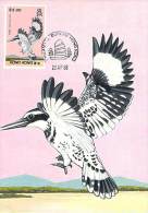 HONG-KONG CARTE MAXIMUM NUM. YVERT 531 FAUNE OISEAU PROTECTION DE LA NATURE - Maximumkaarten