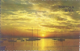 Tortola  B.V.I.      A-3028 - Sonstige & Ohne Zuordnung
