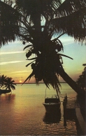The Sunny Carribean  - Tropical Carribean Sunset.      A-3031 - Altri & Non Classificati