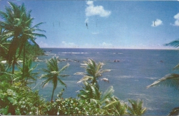 Tobago  Beach Scene       A-3035 - Trinidad