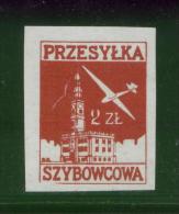 POLAND 1963 9TH NATIONAL GLIDING CHAMPIONSHIPS LESZNO GLIDER MAIL "FRAME FLAW" STAMP NHM CINDERELLA AIRPLANE PLANE - Planeadores