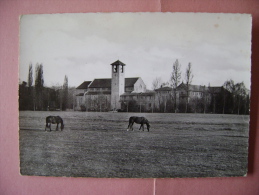 CPM  ABBAYE NOTRE DAME TOURNAY  VUE GENERALE - Tournay