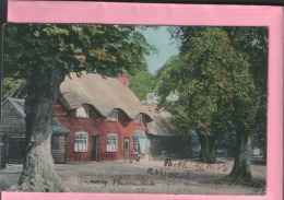 HARPENDEN THATCHED COTTAGES HERTFORDSHIRE USED 1905 LOCALLY - Hertfordshire