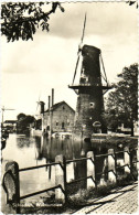 Schiedam - Walvismolen - & Windmill - Schiedam