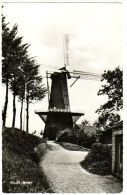 Hulst Molen - & Windmill - Hulst