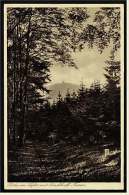 Bevern Bei Holzminden  -  Partie Im Vogler Mit Dieckhoff-Turm ( Ebersnackenturm )  -  Ansichtskarte Ca.1925   (2386) - Holzminden