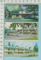 St. Leonard N.B.  Canada ( 3 Views Multi-vues Daigle's Motel) Carte Postale Post Card - Andere & Zonder Classificatie