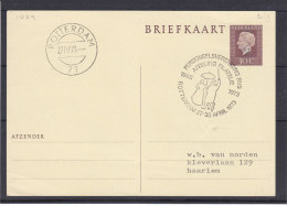 Parapluie - Pays Bas - Carte Postale De 1973 -oblitération Spéciale - Lettres & Documents