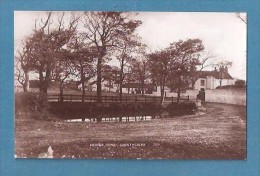 RP Gristhorpe Near Filey Horse Pond Yorkshire UNUSED QUEEN SERIES - Altri & Non Classificati