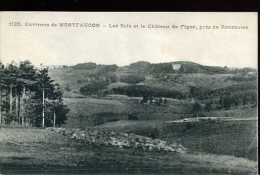MONTFAUCON : Les Bois Et Château De Figon - Montfaucon En Velay