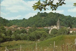 VIGNORY - Vue Générale - Vignory