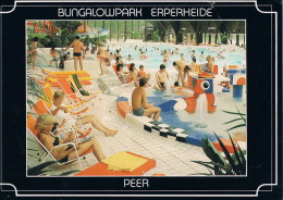 Peer   Erperheide - Peer