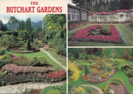 BT16356 The Butchart Gardens Victoria   2 Scans - Victoria