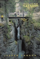 BT16471 Jasper Maligne Canyon  2 Scans - Jasper