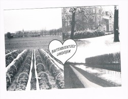 Buitenbeentjes Landegem - Nevele