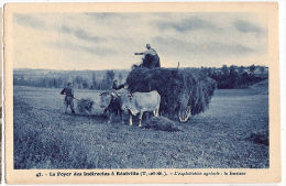 CPA Réalville Le Foyer Des Indirectes à L´ Exploitation Agricole Attelage Boeufs   La Fenaison 82 Tarn Et Garonne - Realville