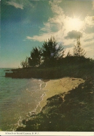 A Beach On    Grand Cayman B.W.I.  A-3045 - Cayman Islands