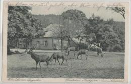 Austria - Wien-Lainzer Tiergarten - Musées