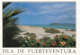 BT16935 Fuerteventura Islas Canarias    2 Scans - Otros & Sin Clasificación