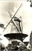 Molen, Sluis Holland - & Windmill - Sluis