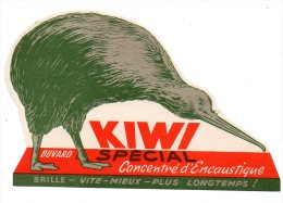 Buvard - Kiwi Spécial Concentré D'Encaustique - Zapatos