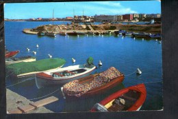 L416 Bisceglie ( Bari ) , La Darsena Con Barche, Boat, Barques - Used 1972 - Fotorapid Color Terni - Bisceglie