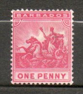 BARBADE  1p Rose 1892-1903 N°51 - Barbados (...-1966)