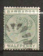 BARBADE  Victoria 1/2p Vert 1882-86 N°39 - Barbados (...-1966)