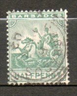 BARBADE  Britania 1/2p Vert  1892 N°50 - Barbados (...-1966)