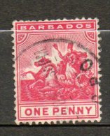 BARBADE  Britania 1p Rose  1892 N°51 - Barbados (...-1966)