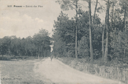 PESSAC  - Entrée Des Pins - Pessac